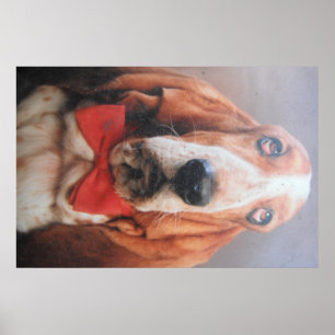 Poster Basset Hound mit roter Fliege