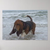 Poster-Basset-Hund am Meer Poster (Vorne)