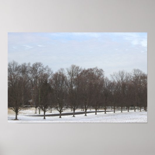 Poster Bäume im Schnee (Vorne)