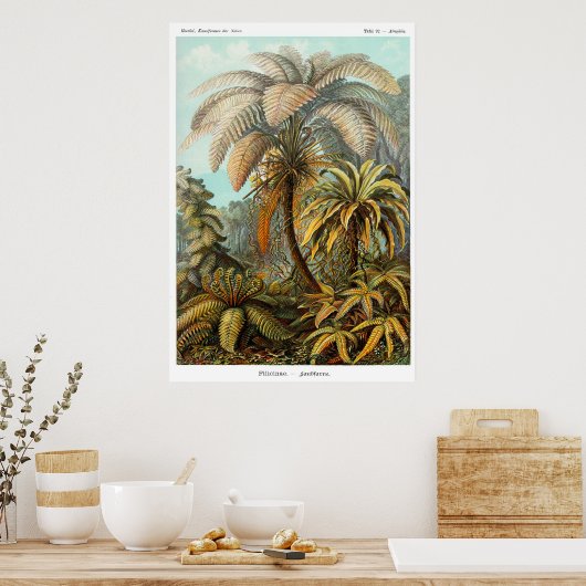 Poster (Baumfarn) (Küche)