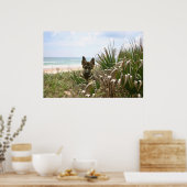 Poster Beachgrass (Küche)