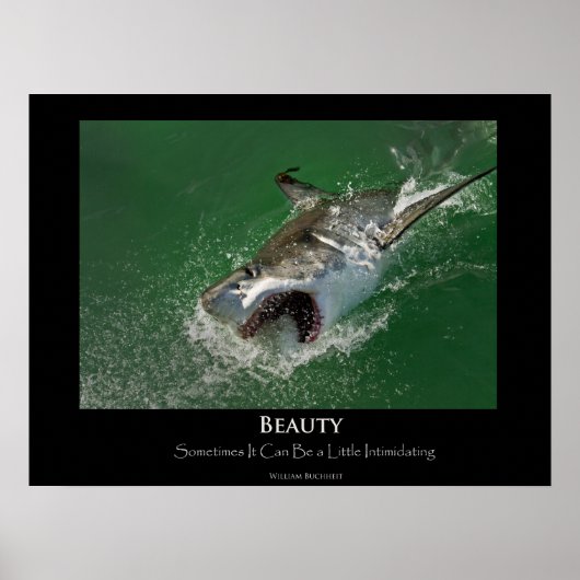 Poster "Beauty" von Great White Shark (Vorne)