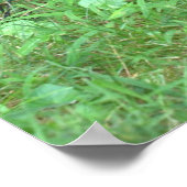 Poster Bicycle Pink Blume in Basket (Ecke)