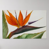 Poster "Bird of Paradise" (Vorne)