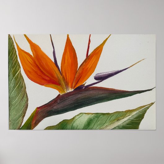 Poster "Bird of Paradise" (Vorne)