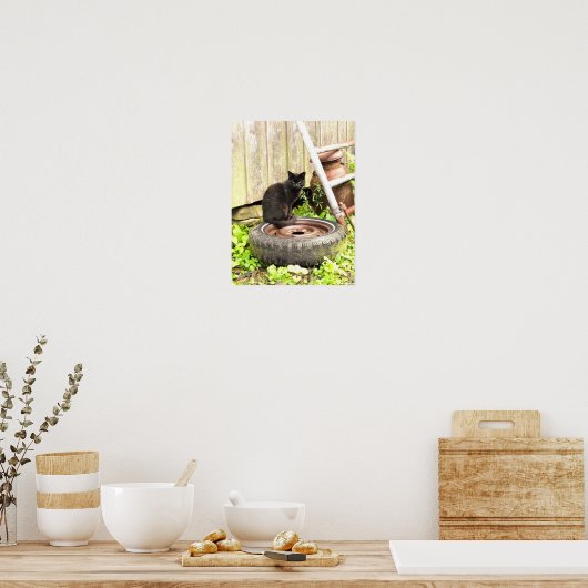 Poster - Black Barn Cat (Küche)