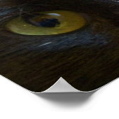 Poster: Black Cat Eyes Poster (Ecke)