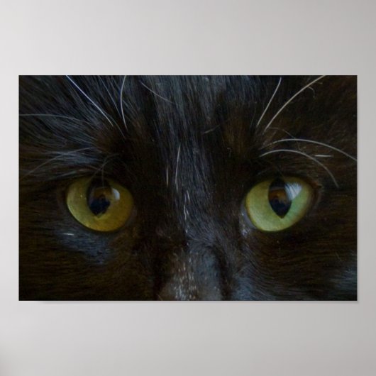 Poster: Black Cat Eyes Poster (Vorne)