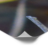 Poster - Blaue Libelle (Ecke)