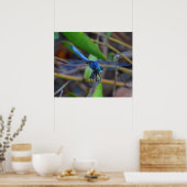 Poster - Blaue Libelle (Küche)