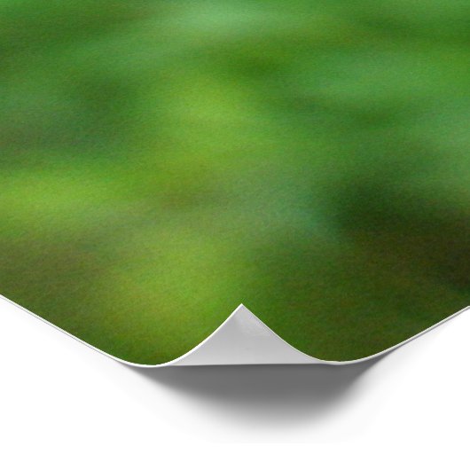 Poster Blue Dasher Dragonfly (Ecke)