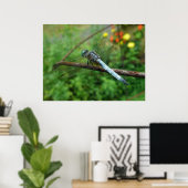 Poster Blue Dasher Dragonfly (Heimbüro)