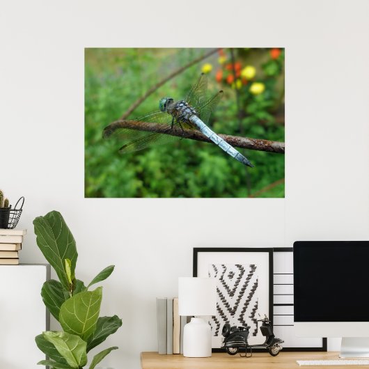 Poster Blue Dasher Dragonfly (Heimbüro)