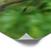 Poster Blue Dasher Dragonfly (Ecke)
