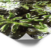 Poster "Blue Peter" (Ecke)