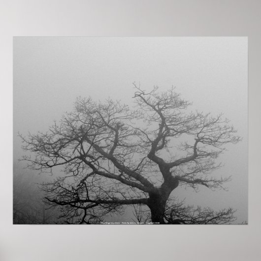 POSTER Blue Ridge Mountains - (Vorne)