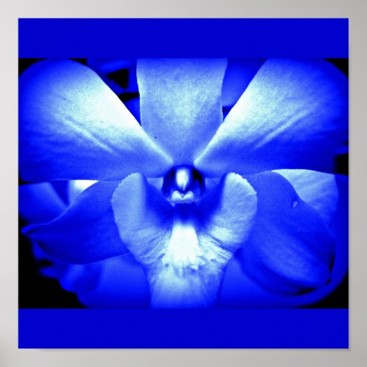 Poster-Blume-gestrichene Blume 13 Poster (Vorne)