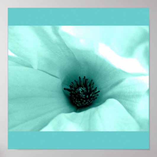 Poster-Blume-gestrichene Blume 4 Poster (Vorne)