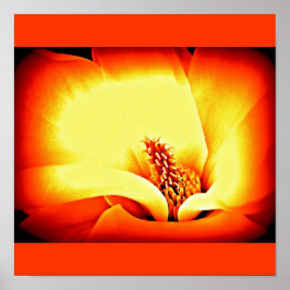 Poster-Blume-gestrichene Blume 9 Poster