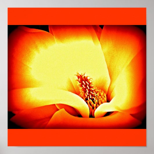 Poster-Blume-gestrichene Blume 9 Poster (Vorne)