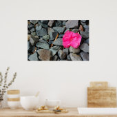 Poster "Blume in Rough" (Küche)