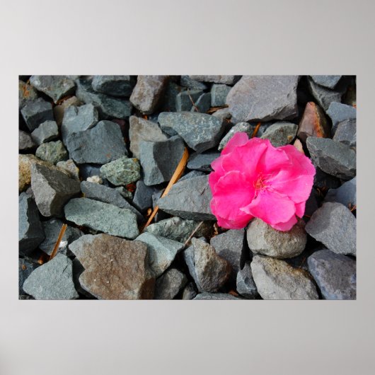 Poster "Blume in Rough" (Vorne)