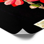 Poster-Botanische Kunst-Mary Delany 10 Poster (Ecke)