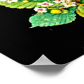 Poster-Botanische Kunst-Mary Delany 11 Poster (Ecke)