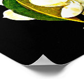 Poster-Botanische Kunst-Mary-Delany 1 Poster (Ecke)