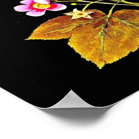 Poster-Botanische Kunst-Mary-Delany 4 Poster (Ecke)