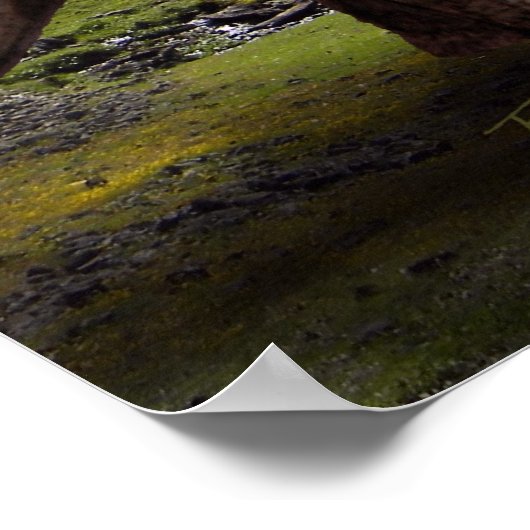 Poster ~ Brachiosaurus Angriff durch Velociraptore (Ecke)