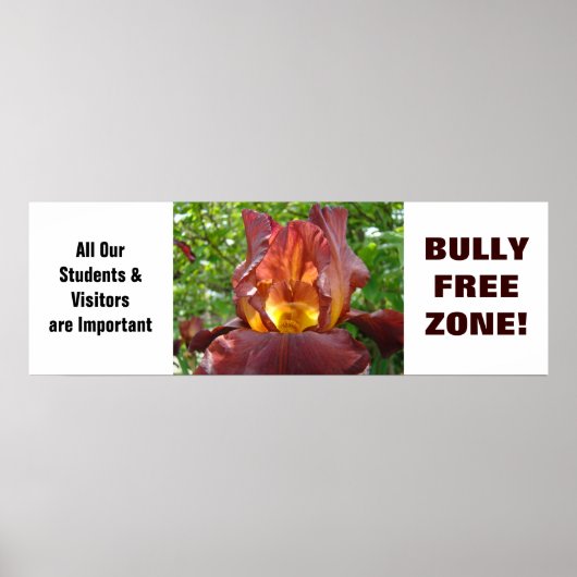 Poster BuLLY FREE ZONE! Schüler in der Schule (Vorne)