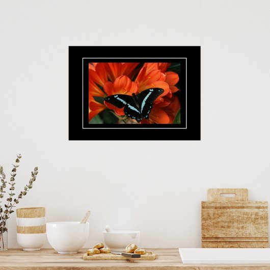 Poster Butterfly/Blume (Küche)