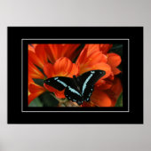 Poster Butterfly/Blume (Vorne)