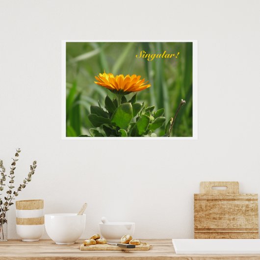 Poster - Calendula Bloom (Küche)