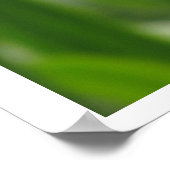 Poster - Calendula Bloom (Ecke)