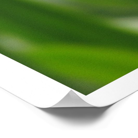 Poster - Calendula Bloom (Ecke)