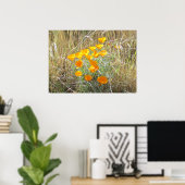 Poster - California Poppies (Heimbüro)