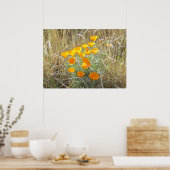 Poster - California Poppies (Küche)