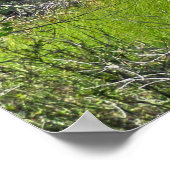 Poster Cape Hatteras Leuchtturm aus Feuchtgebieten (Ecke)