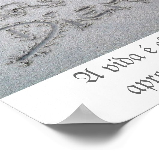 Poster Carpe Diem (Ecke)