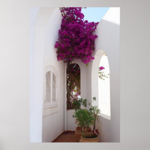 Póster casa mediterránea poster