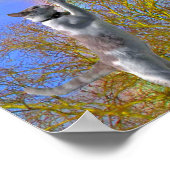 Poster - Cat Chasing Butterfly