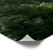 Poster Central Park West 100 Street (Ecke)