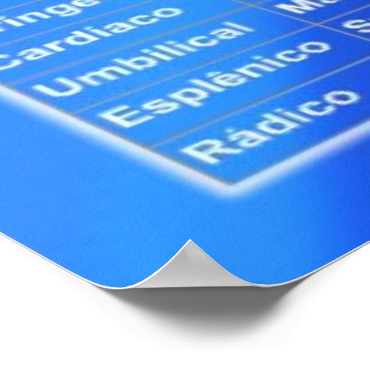 Poster Chakras e suas Relações (Ecke)