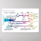 Poster Chart USA American Criminal Justice System (Vorne)
