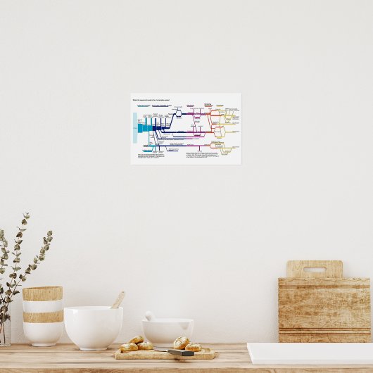 Poster Chart USA American Criminal Justice System (Küche)