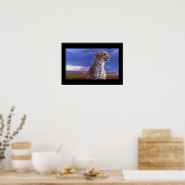 Poster-Cheetah Poster (Küche)