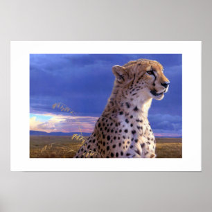 Poster-Cheetah Poster