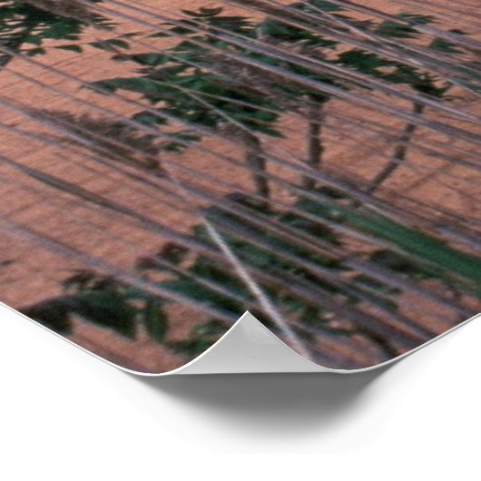 Poster / Chesapeak Bay Bridge (Ecke)